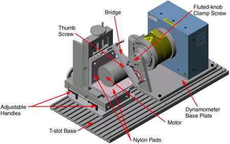 AMF-2